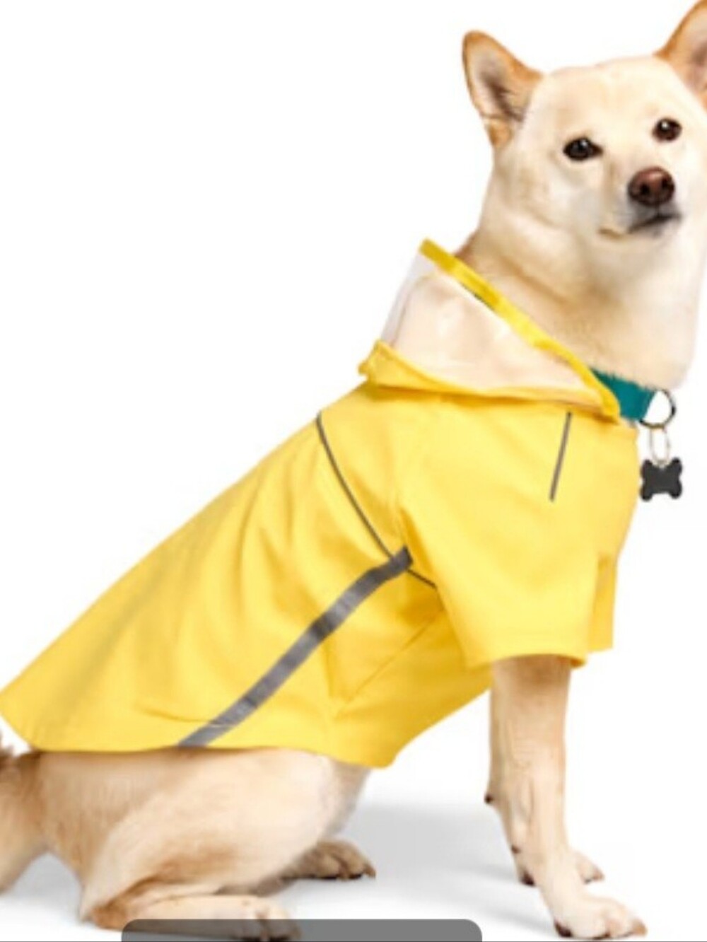 YOULY Classic Reflective Yellow Pet Raincoat, X-small